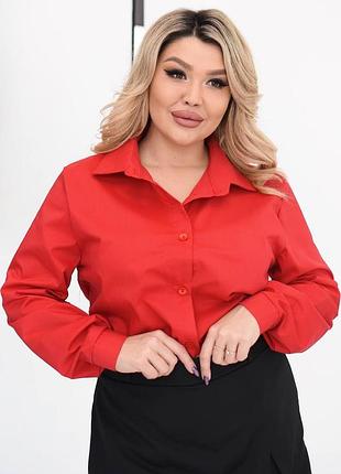 Жіноча червона класична сорочка | 009