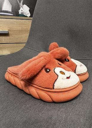 Кімнатні тапки