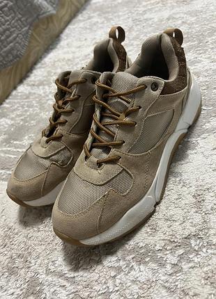 Кросівки, кеди