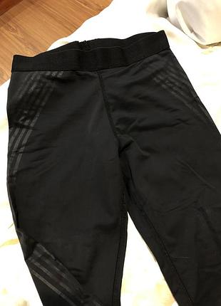 Спортивні лосіни жіночі