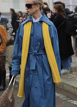 Джинсовий тренч