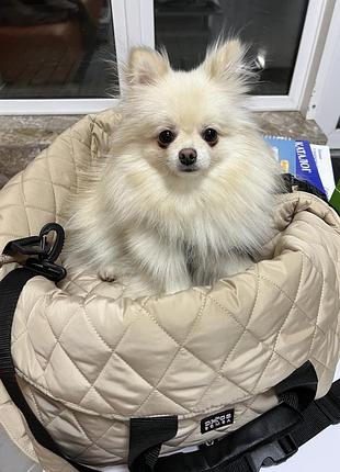 Сумка переноска автокрісло  для собак та котів dogs bomba