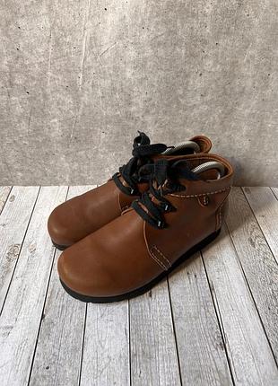 Черевики осінні шкіряні анатомічні 26 см hush puppies