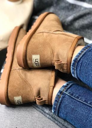 Зимние угги ugg mini classic beige2 фото