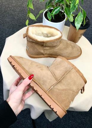 Зимние угги ugg mini classic beige3 фото