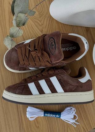 Кросівки adidas campus brown