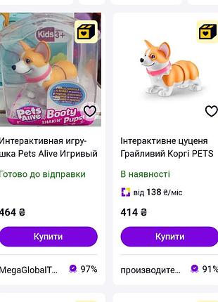 Собака песик корги 6