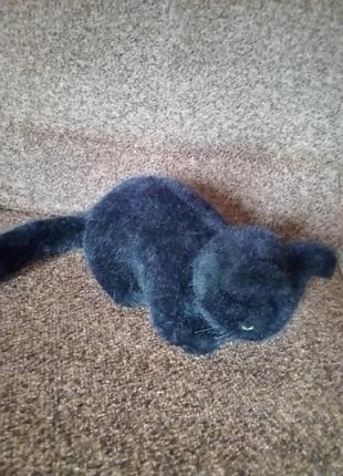 Черный котик