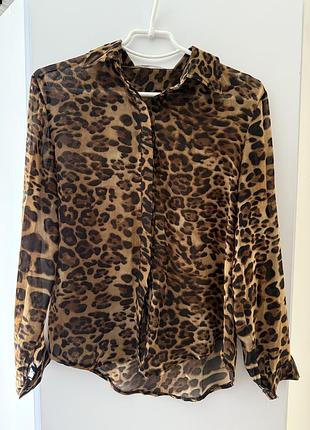 Леопардова сорочка/блуза