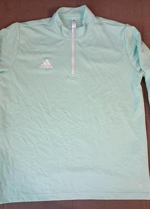 Спортивна кофта adidas