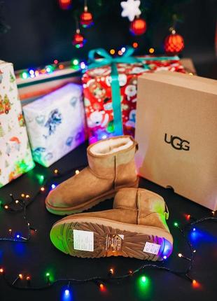 Жіночі уггі ugg w classic mini chestnut