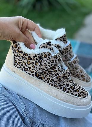 Хайтопи зимові в тигровий принт 🥰