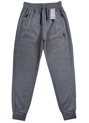 Штани спортивні чоловічі під манжет весна-осінь  xl, 4xl, 5xl