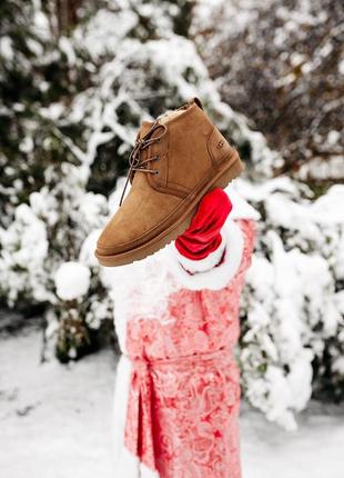 Мужские угги ugg neumel  “chestnut”