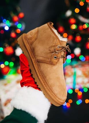 Мужские угги ugg neumel "chestnut"