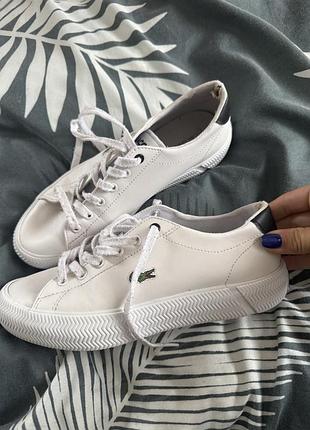 Lacoste кеди
