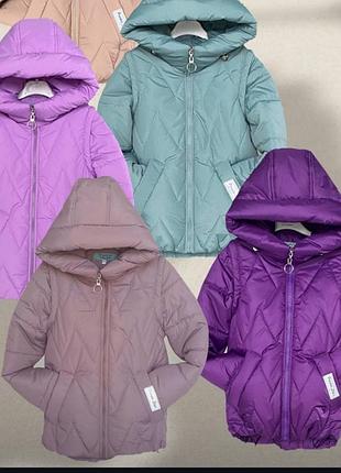 Деми сезонная куртка