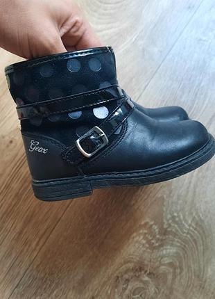 Осенние полусапожки geox для девочки 22 размер