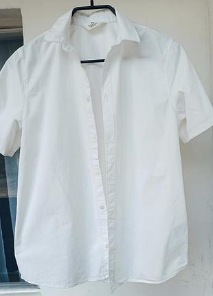 Рубашка белая коттон