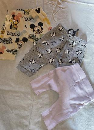 Спрортивні штани та лосини