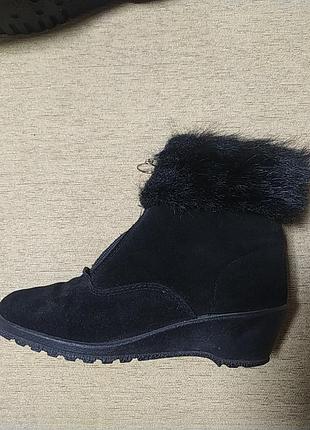 Сапоги женские замшевые