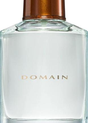 Одеколон для чоловіків mary kay domain  73 мл