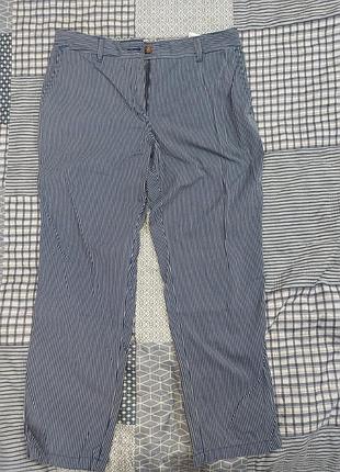 Чинисы женские m&amp;s