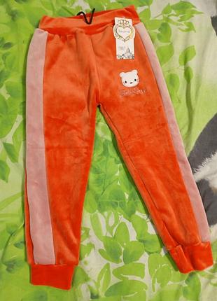 Штаны велюр на меху