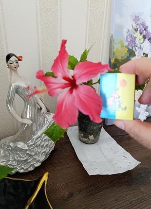 Гибискус купера. вариогатный. 9