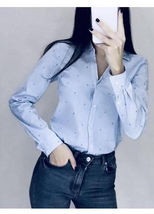 Белая рубашка в голубую полоску повседневный деловой стиль zara