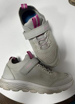 Кросівки geox