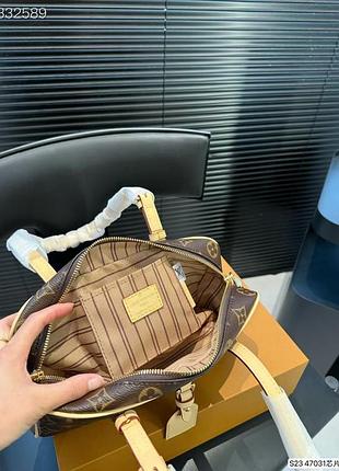 Louis vuitton 6