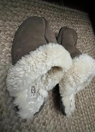 Тапки на овчині ugg 37 р