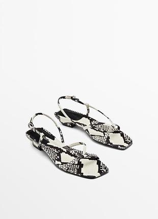 Босоніжки massimo dutti зміїний принт 38р