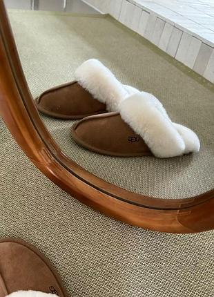 Тапочки ugg