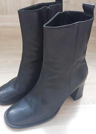 Сапожки жіночи демісізоні bassotta