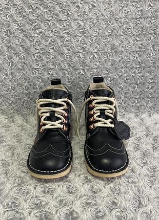 Черевики kickers