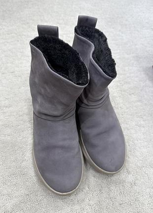 Жіночі уггі