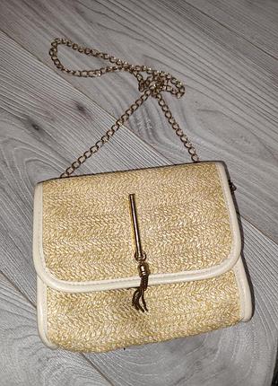 Лот из двух сумок 4