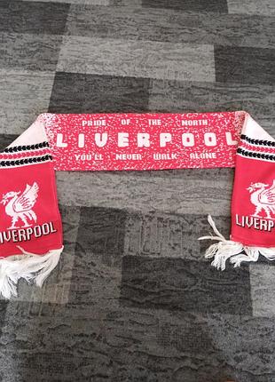 Шарф леверпуль