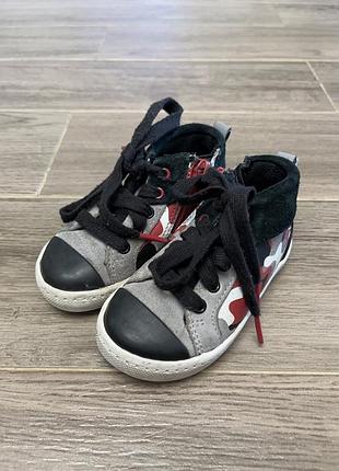 Високі кеди