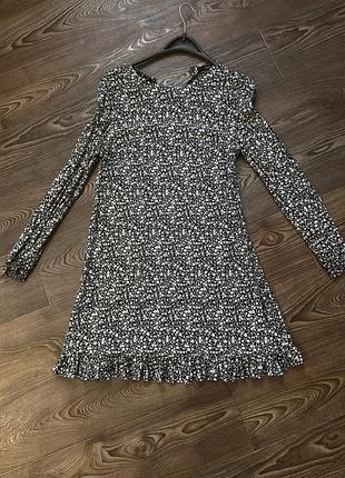 Суня від next