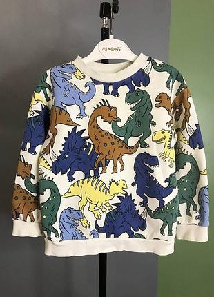 Свитшот с динозаврами мальчишку hm h&amp;m