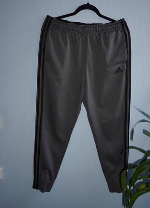 Мужские спортивные штаны adidas