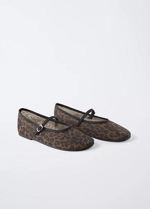 Балетки zara принт лео