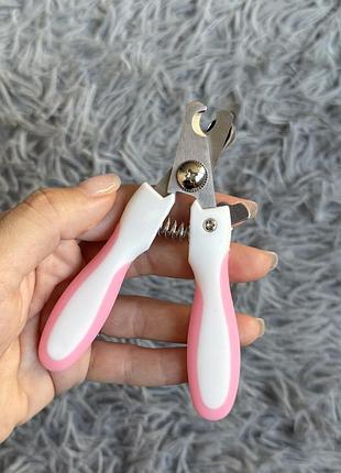 Кігтеріз для кішок і собак для догляду за кігтями