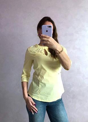 Блуза жіноча