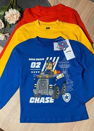 Набір регланів