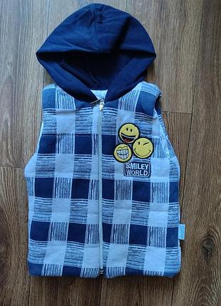 Жилетка 9-12 месяцев, штаны в подарок