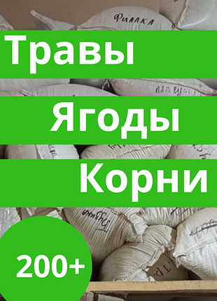 Лікарські трави, ягоди, корені — 200+ позицій! від 100 грамів.
